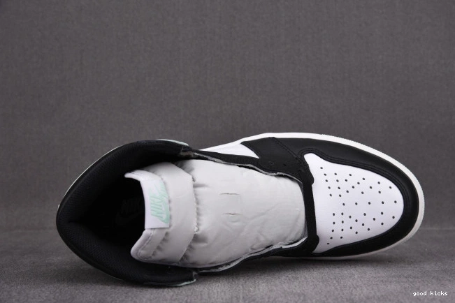 Rep Jordan Igloo Retro 861428-100 1 High 0729